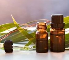 Eucalyptus Oil