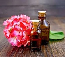 Geranium Oil