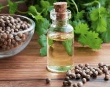 Coriander Oil