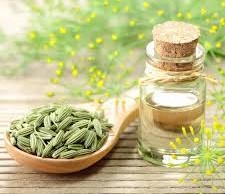 Fennel Seed Oil